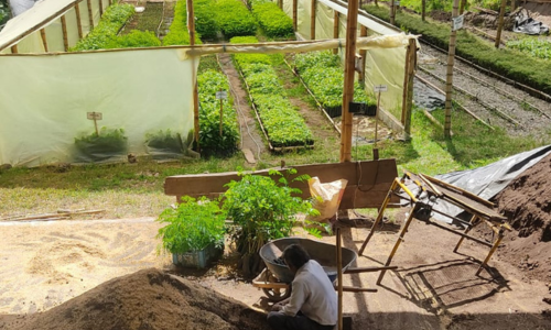 Vivero_2